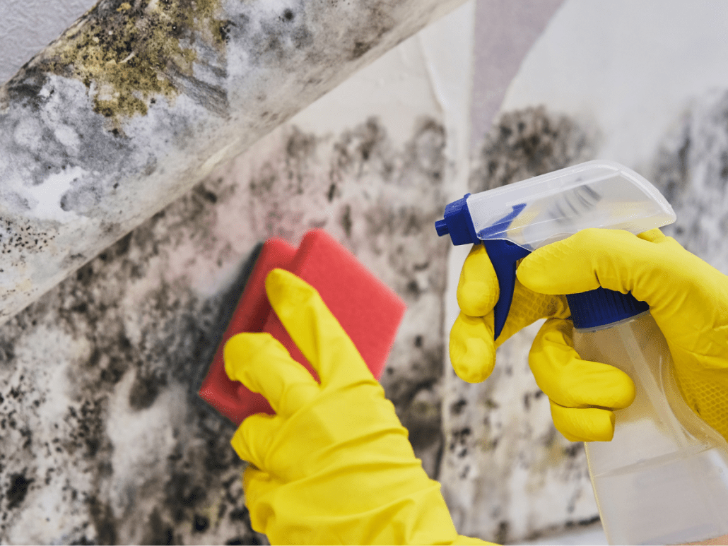 Cleaning up toxic mold after lawsuit settlement reached in Florida