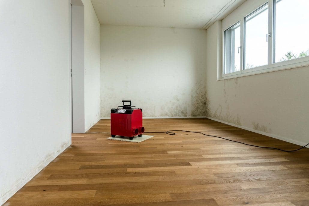 room being cleaned after discovering toxic mold in riverview, florida