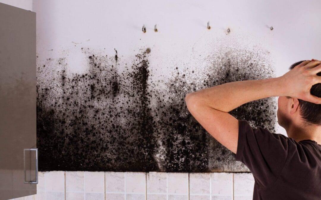 How to Know If You Suffer from a Mold Injury